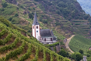 European Vineyard Landscape Drucke: Viticulture landscape