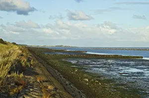 Friesland Nature Reserve Drucke: Vlieland