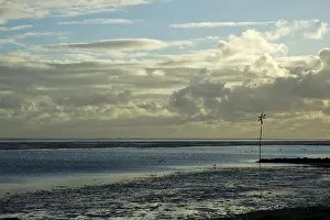 Friesland Nature Reserve Drucke: Vlieland