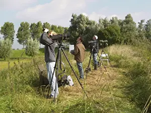 Bird Migration Drucke: Vogelaar, Birdwatcher