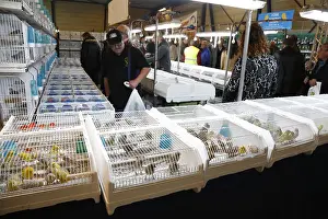 Vogelbeurs