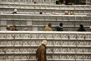 vogeltentoonstelling