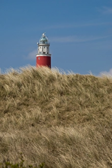 Lighthouse On Texel Island Drucke: Vuurtoren, Lighthouse