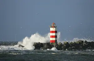 North Sea Lighthouse Drucke: Vuurtoren, Lighthouse