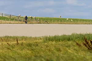 European Coastline Images Drucke: Waddendijk, Dike