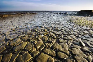 European Water Scenery Drucke: Waddensea