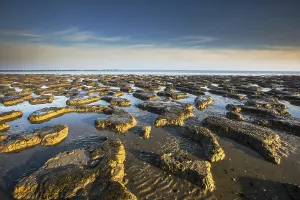 Low Tide Mudflats Europe Drucke: Waddensea
