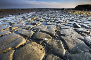 UNESCO World Heritage Site Wadden Sea Drucke: Waddensea