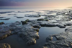 Waddensea