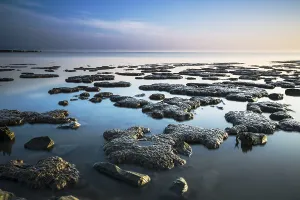 Waddensea