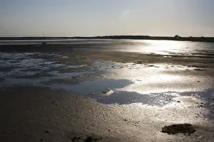 Waddenzee, Schiermonnikoog
