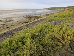 Wadden Sea Drucke: Waddenzee, Wadden Sea