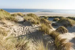 Netherlands Coast Drucke: Waddenzee, Wadden Sea