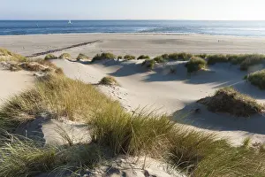 Netherlands Coast Drucke: Waddenzee, Wadden Sea