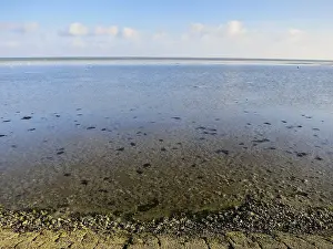 Netherlands Coast Drucke: Waddenzee, Wadden Sea