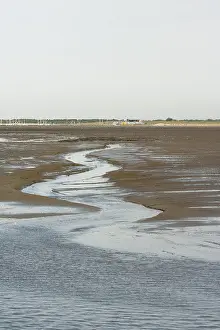 Wadden Sea Low Tide Drucke: Waddenzee, Wadden Sea