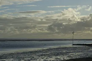 Foraging Birds Drucke: Waddenzee, Wadden Sea