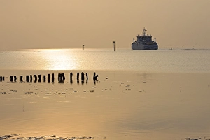 Waddenzee, Waddensea