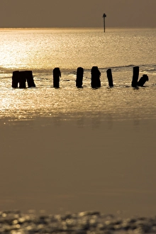 Waddenzee