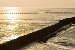 Waddenzee, Waddensea