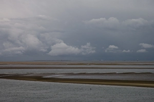 September Drucke: Waddenzee, Waddensea