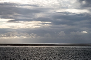 September Drucke: Waddenzee, Waddensea