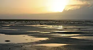 Netherlands Coast Drucke: Waddenzee, Waddensea