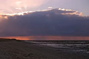 Waddenzee, Waddensea