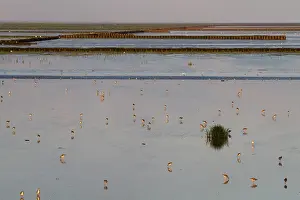 Waddenzee, Waddensea