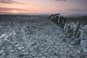 Waddenzee, Waddensea