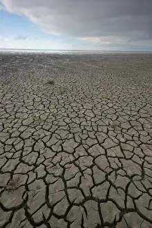 Netherlands Landscape Drucke: Waddenzee, Waddensea
