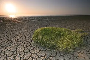 Waddenzee, Waddensea