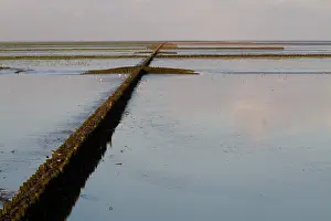 Waddenzee - Bild von Agami