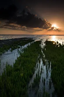 Dutch Coast Scenery Drucke: Waddenzee, Waddensea