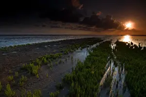 Wadden Sea Nature Reserve Drucke: Waddenzee, Waddensea