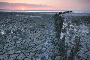Waddenzee, Waddensea