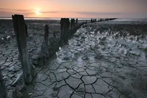 Waddenzee, Waddensee