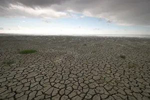 Europe Coastal Landscape Drucke: Waddenzee, Waddensea