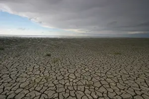 Waddenzee, Waddensea