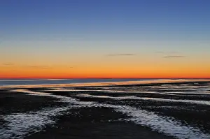 Bilder Datiert 6. Januar 2009: Agami im Waddenzee