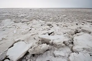 Bilder vom 23. Dezember 2009: Waddenzee im Winter