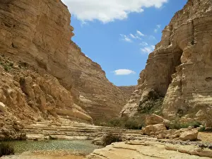 Negev Desert Landscape Drucke: Wadi Ein Avdat, Israel