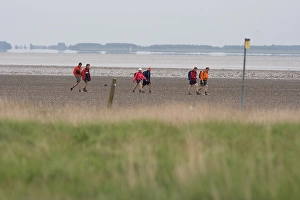Wadlopen