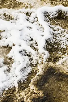 Yellowstone Hot Spring Drucke: Warmwaterbron, Hot Spring