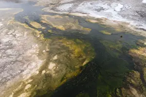 Hot Springs National Park Drucke: Warmwaterbron, Hot Spring