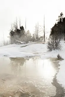 Yellowstone National Park Winter Drucke: Warmwaterbron, Hot Spring