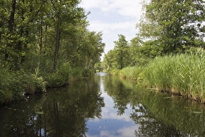 Bilder Datiert 23. Juni 2008: De Weerribben