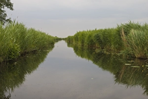 Bilder Datiert 23. Juni 2008: De Weerribben