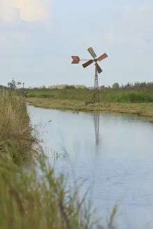 Wetland Landscape Drucke: De Weerribben
