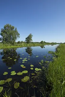 Bilder Datiert 31. Mai 2014: De Weerribben